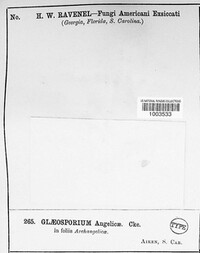 Image Associated With the Occurence